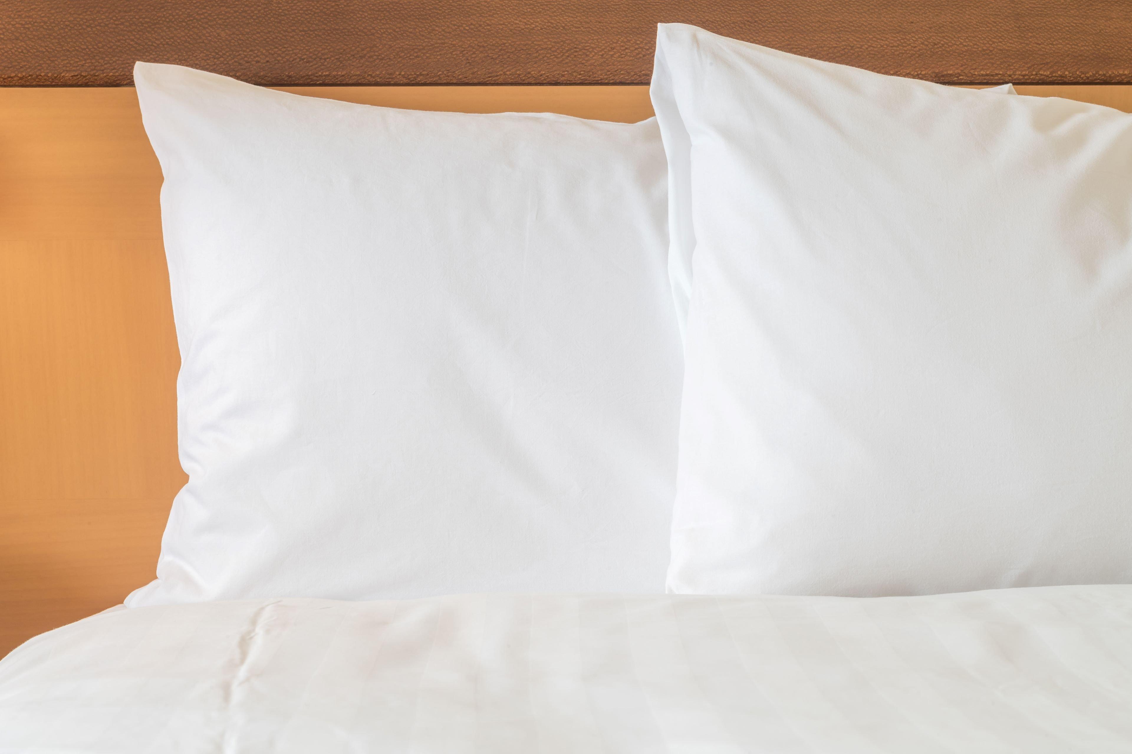 Holiday Inn Express Hotel & Suites Ashland By Ihg Eksteriør billede